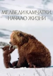 Медведи Камчатки. Начало жизни (фильм 2018) poster