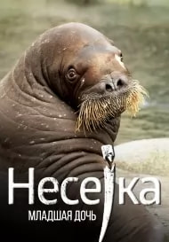 Несейка. Младшая дочь (фильм 2018) poster